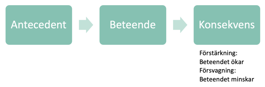 Antecedent beteende konsekvens - Beteendeanalys.nu